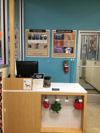 Images Petco Grooming