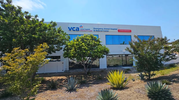 Images VCA Emergency Animal Hospital & Referral Center