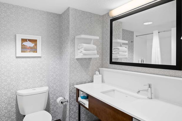 Images Hampton Inn Debary/Deltona