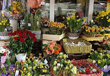 Bilder Blumen am Platzl Andrea Ferian