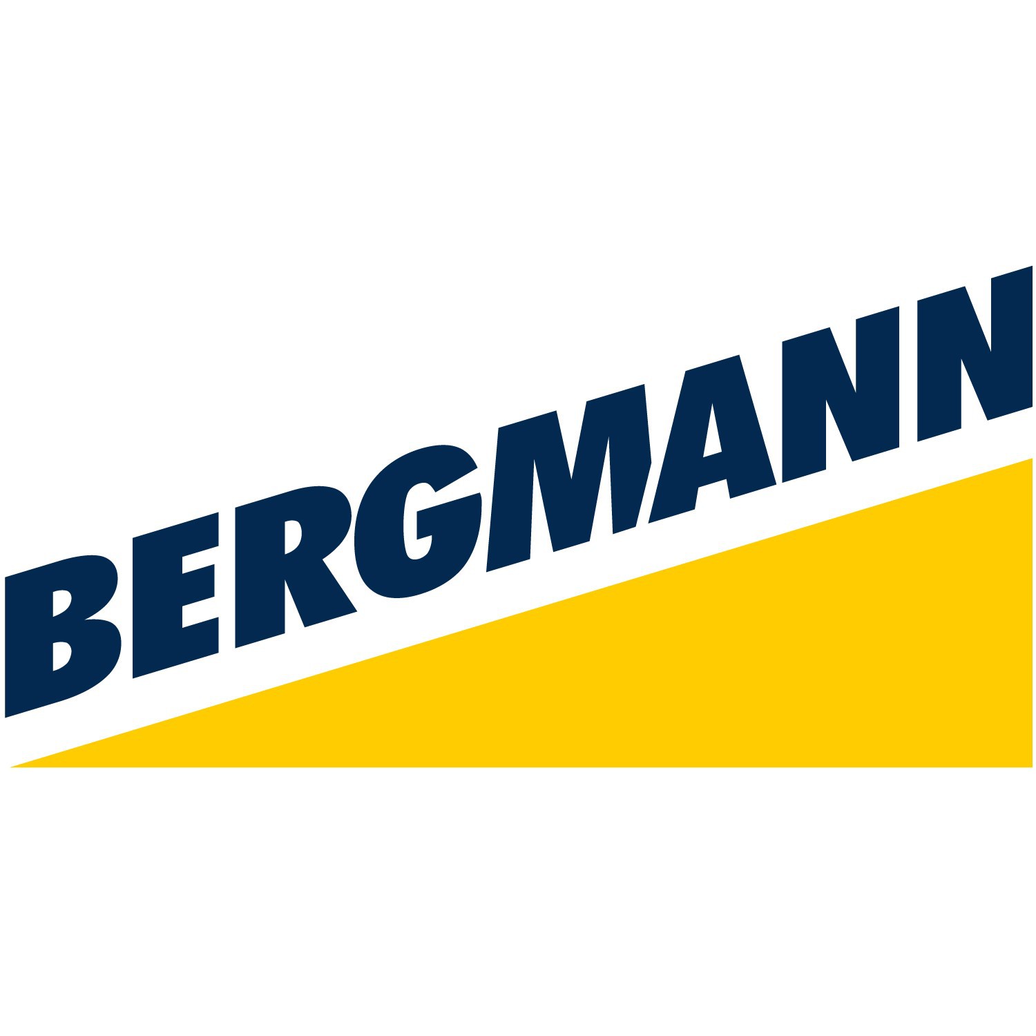 Logo Bergmann Maschinenbau GmbH & Co KG