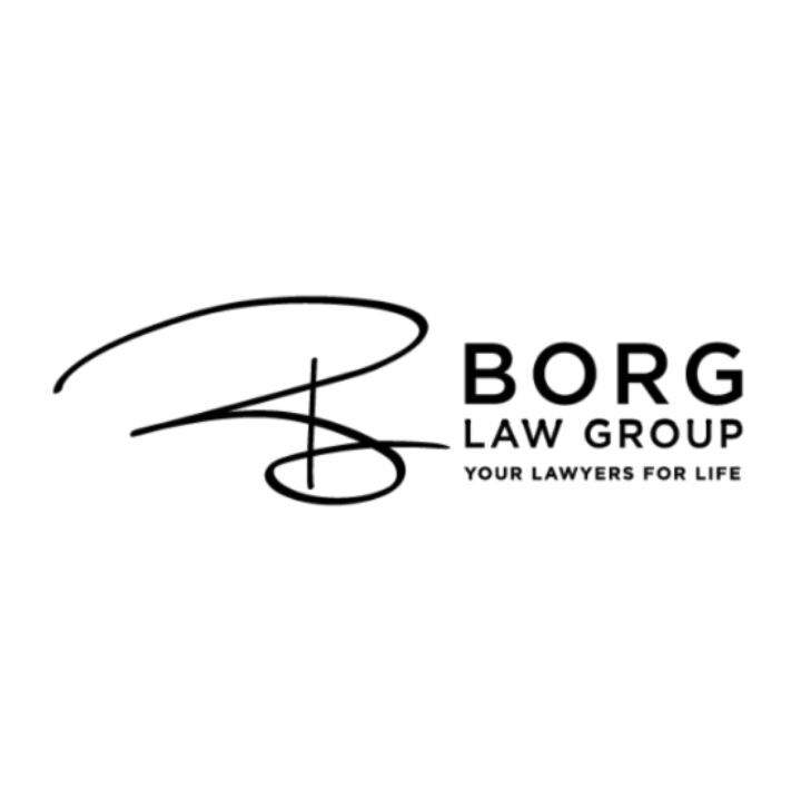 Borg Law Group