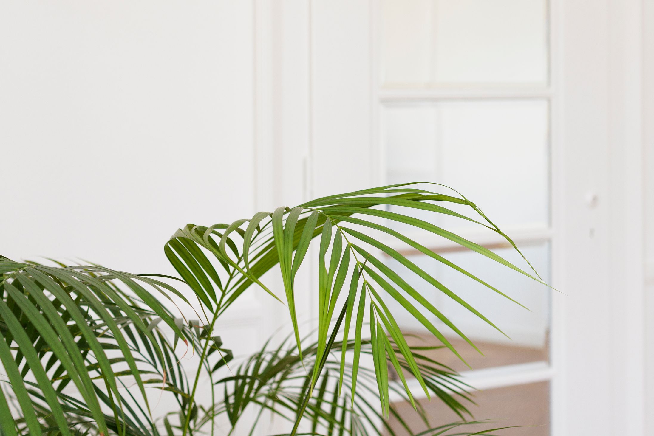 Bilder Etude CHIOCCHETTI & SIEVI : Agent d'Affaires