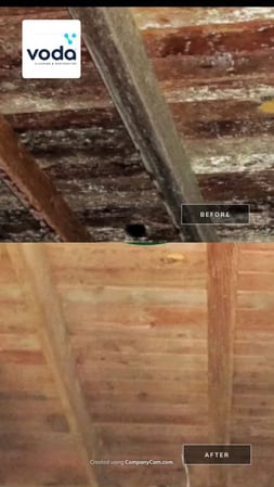 Images Voda Cleaning & Restoration