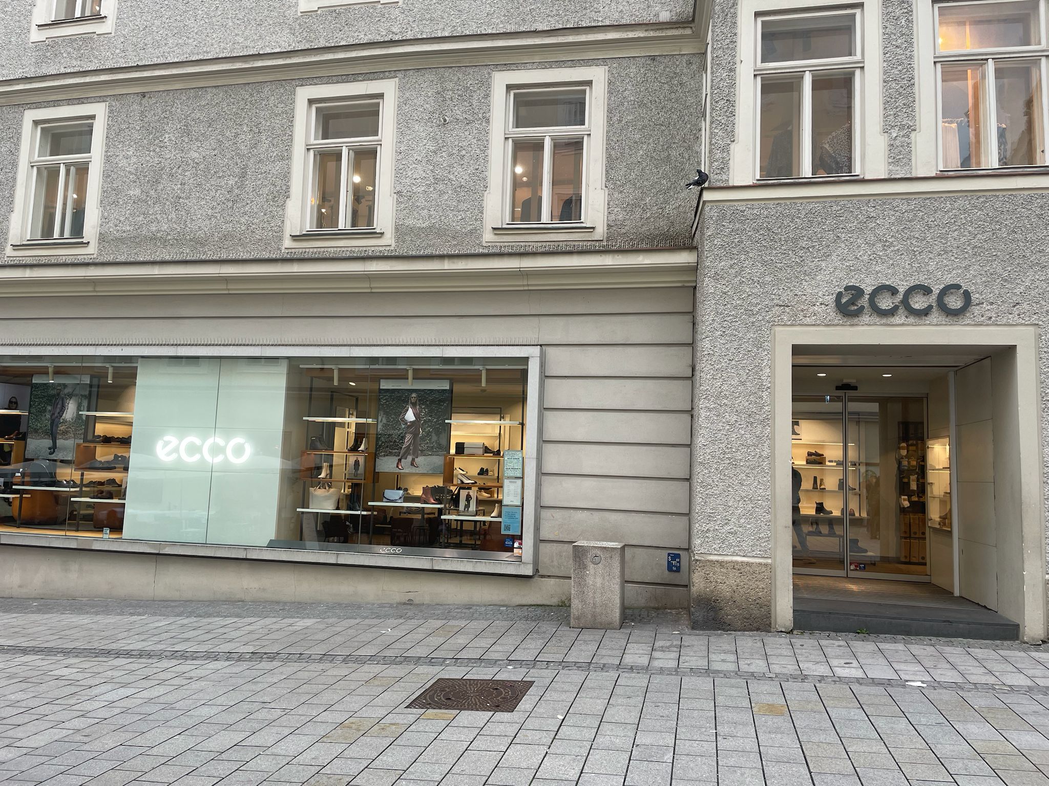 Bild 2 von ECCO Salzburg (Getreidegasse)