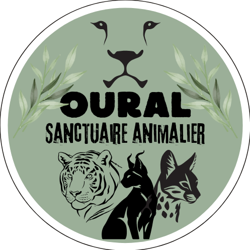 sanctuaire oural refuge et fourrière pour animaux