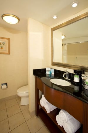 Images Hampton Inn Alexandria/Pentagon South