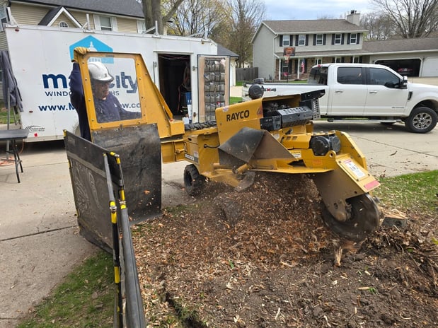 Images Packerland Stump Removal LLC