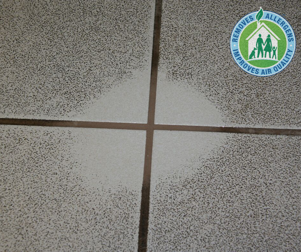 Images Green Mitten Chem-Dry