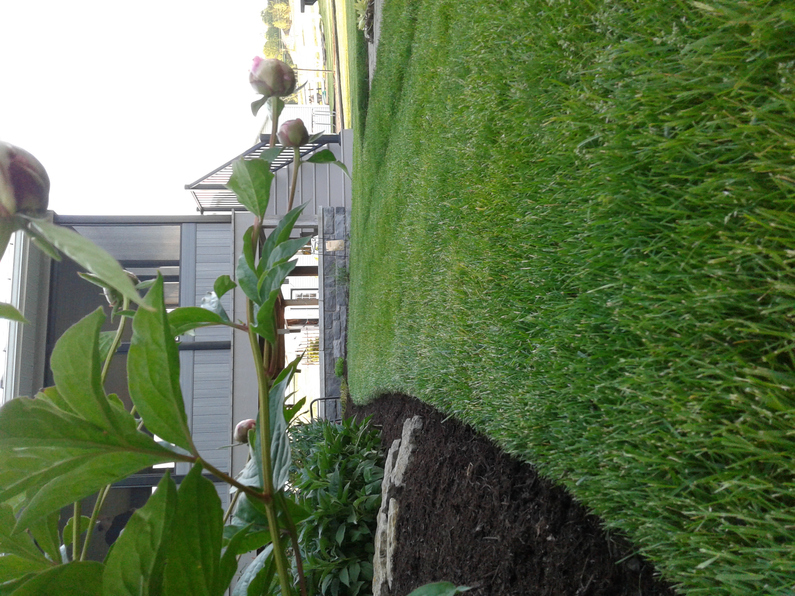 Working with fellow family-owned business, Kaufman Mulch in Millersburg, allows Steven to offer a wide selection and trusted quality. He guides homeowners and business owners to select the color and shred to best complement any building.