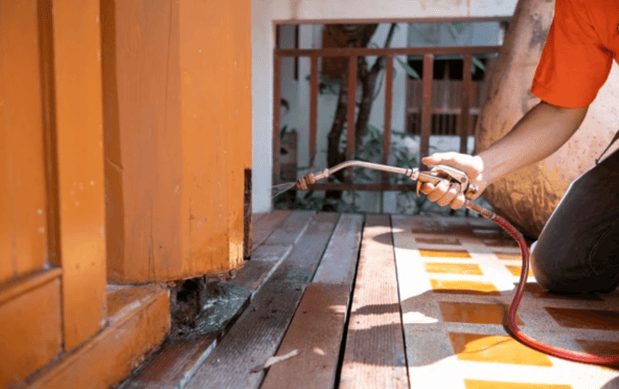 Images Bug Boss Termite and Pest Control