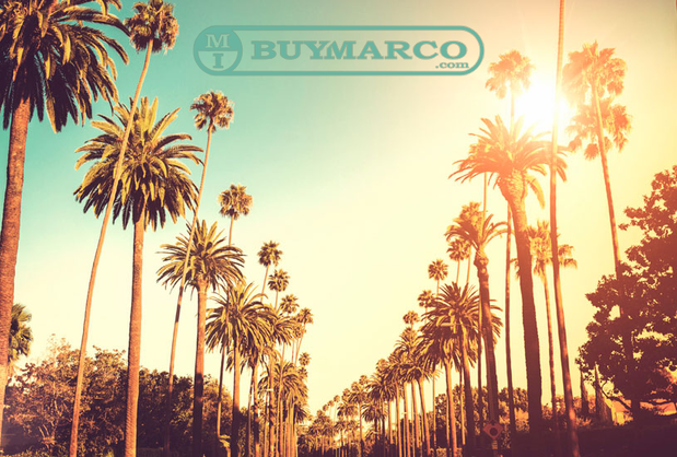 Images BuyMarco.com - The Boyle Team