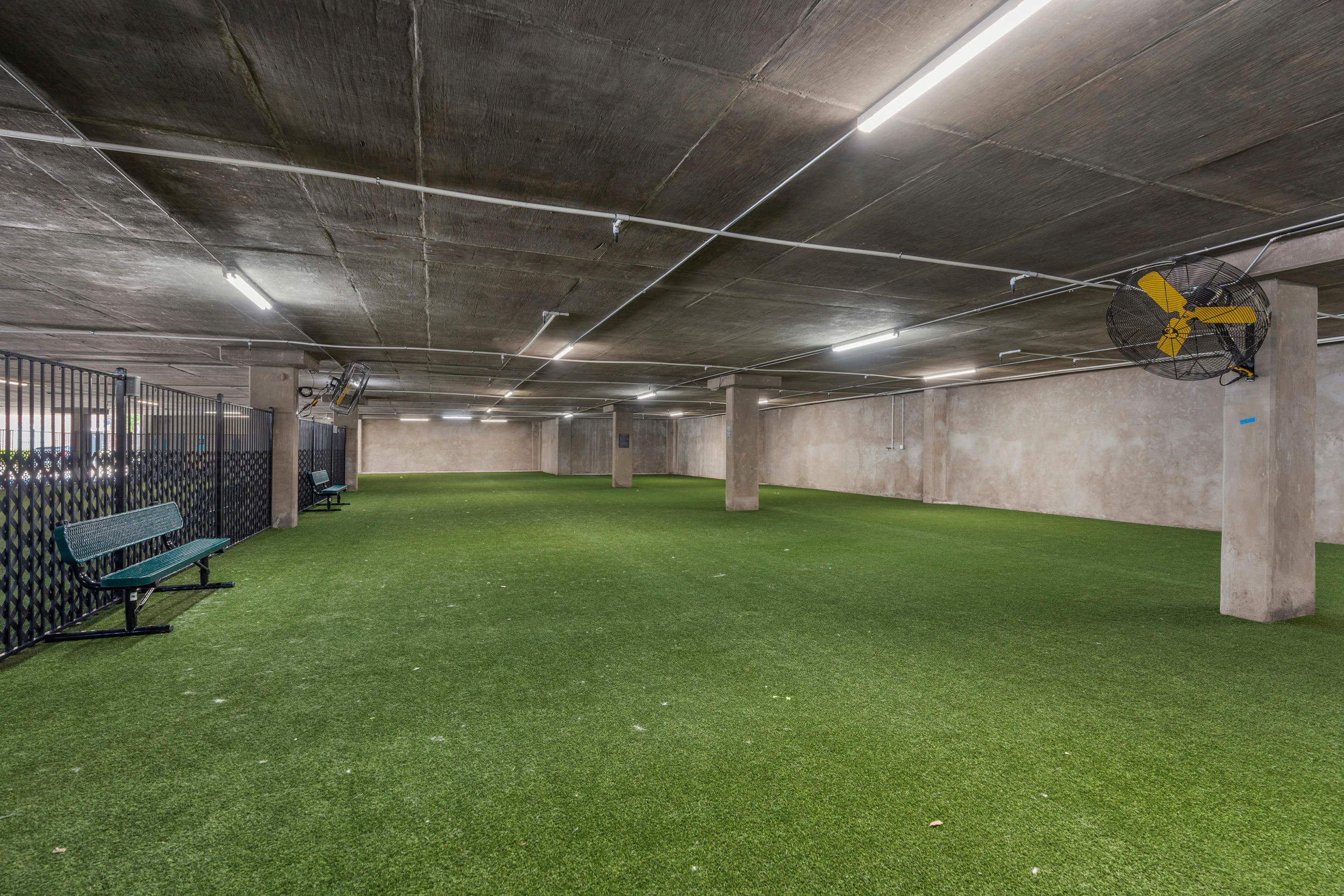 Large indoor dog park