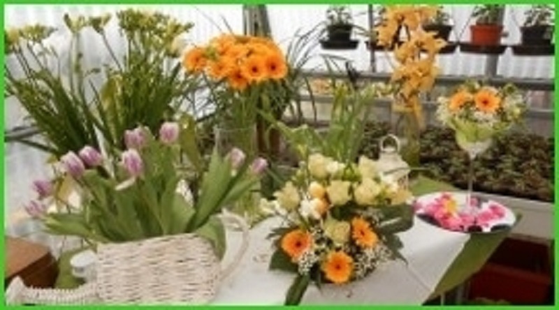 Images Vivaio F.lli Buzzella