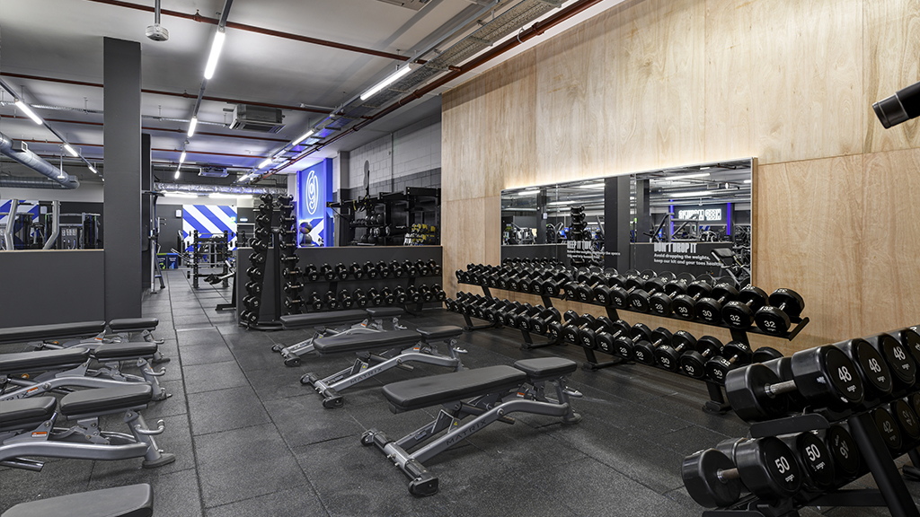 Free Weights Area