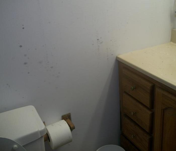 Mold Damage is highly likely to appear in a bathroom because of all of the moisture in the air. Excessive amounts of mold and certain types of mold may present health concerns. It is essential for the health of you and your family, as well as the protection of your property, to address the issue and arrange for the professionals at SERVPRO of Teaneck/Englewood to conduct mold removal and mold remediation as soon as the presence of mold is identified.