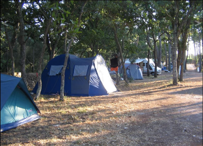 Fotos - Camping Bosco Selva - 3