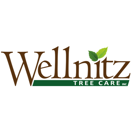 Wellnitz Tree Care Inc