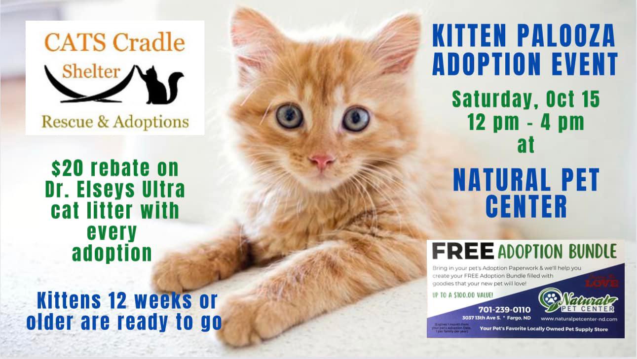 KittenPalooza Adoption Event Natural Pet Center