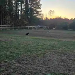 Sniffspot Yolistone Image