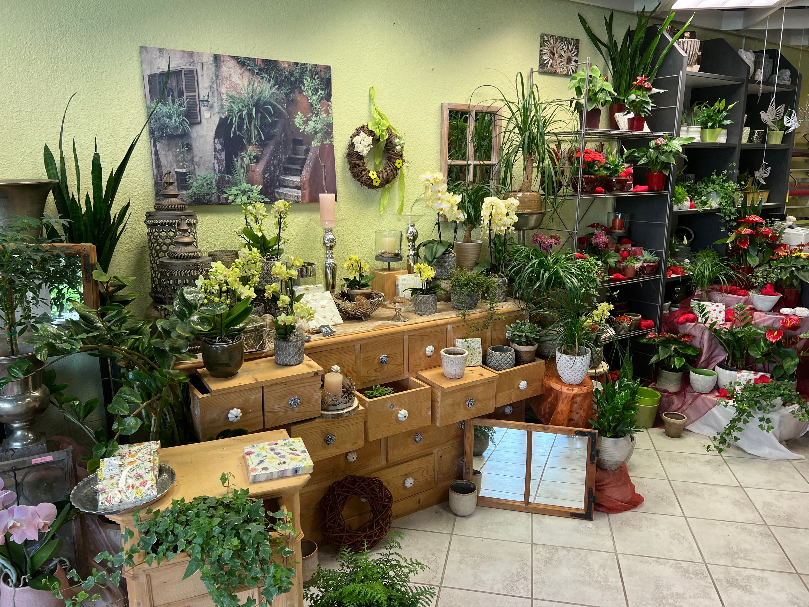 Bilder Blumengeschäft Efeulaube