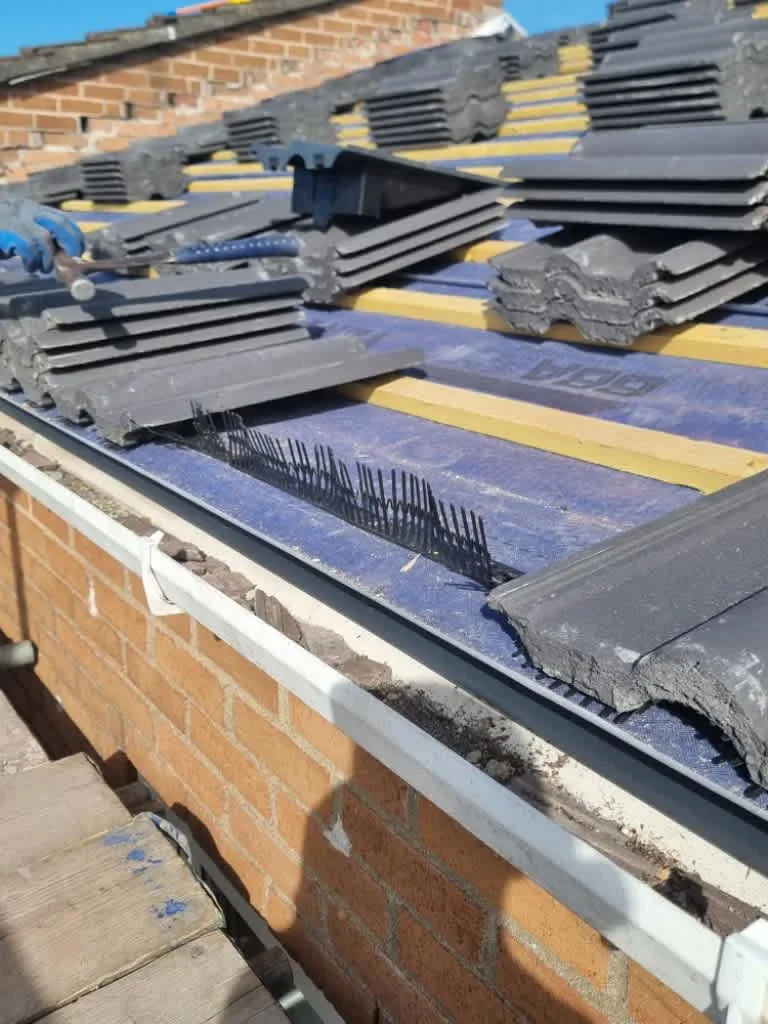 Images Ridge Right Roofing