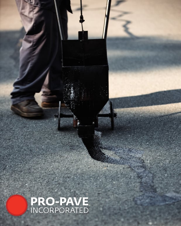 Images Pro Pave Inc
