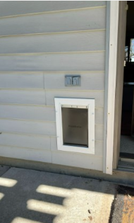 Ace Handyman Services Fort Wayne Northeast Dog Door Install