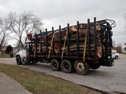 David Tree Service - Emergency tree removal services