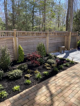 Images Treetola's Arbor Care
