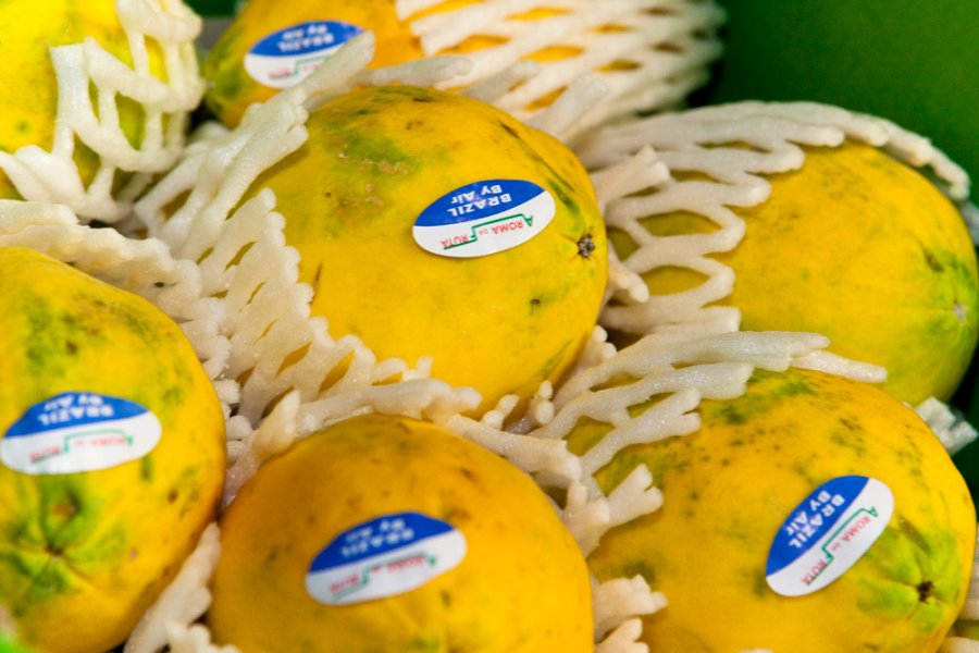 A. Schwab-Krummen AG, Chemin du Gor 8 in Sugiez