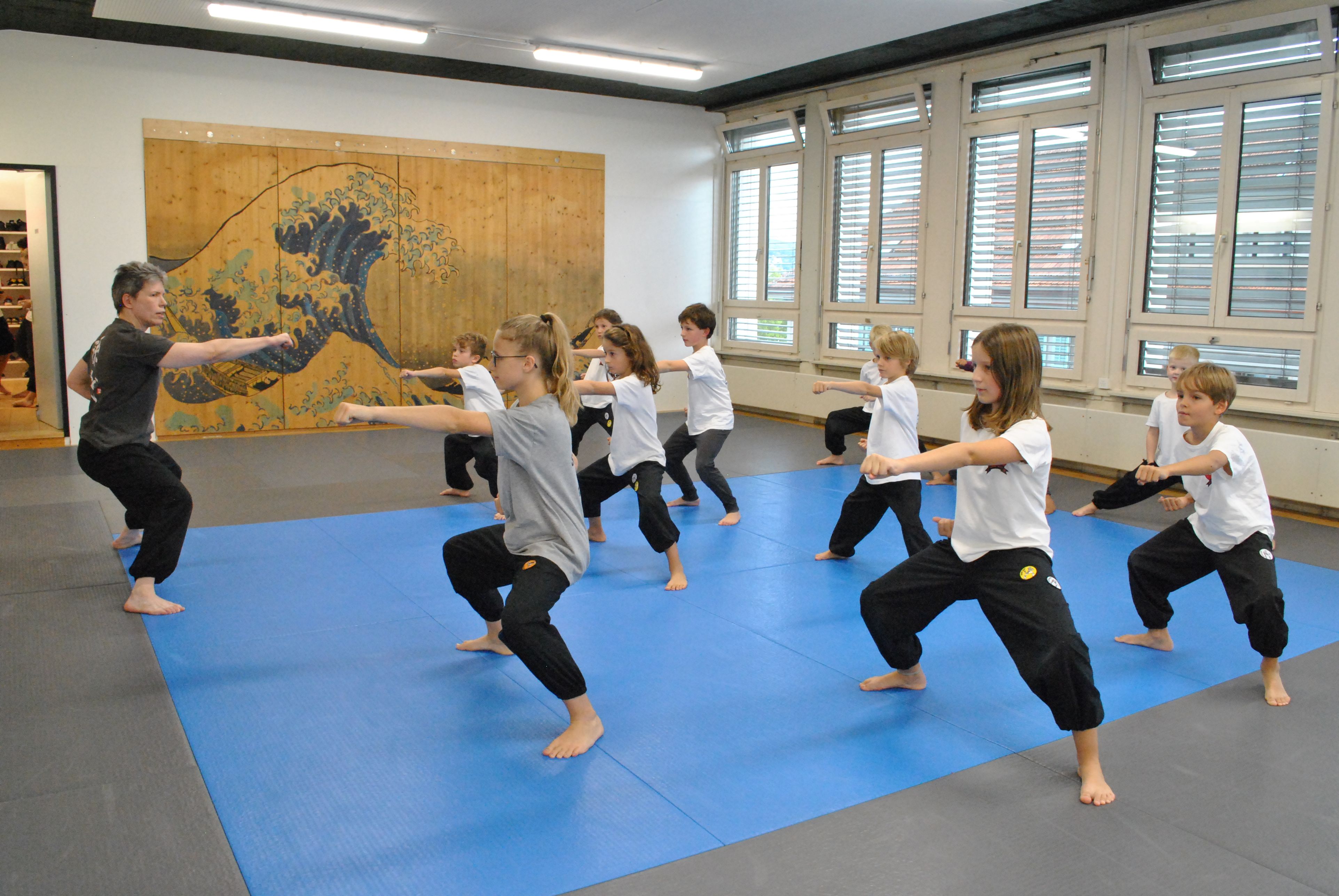 Bilder SUN WU Gongfu Schule Zürich