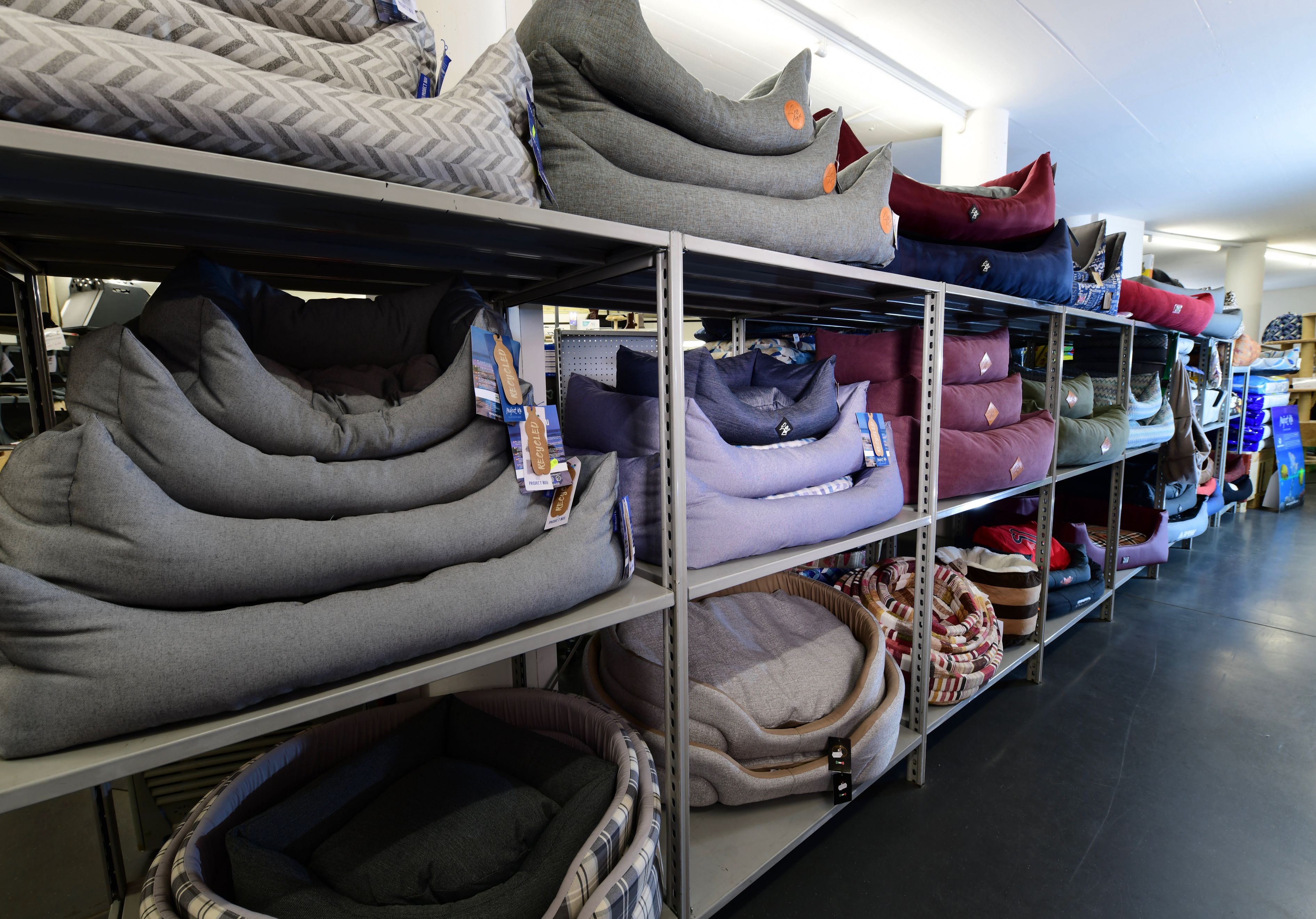 Bilder Amico Animale