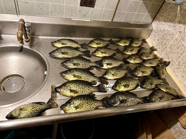 Images PINE BEACH COTTAGES LLC