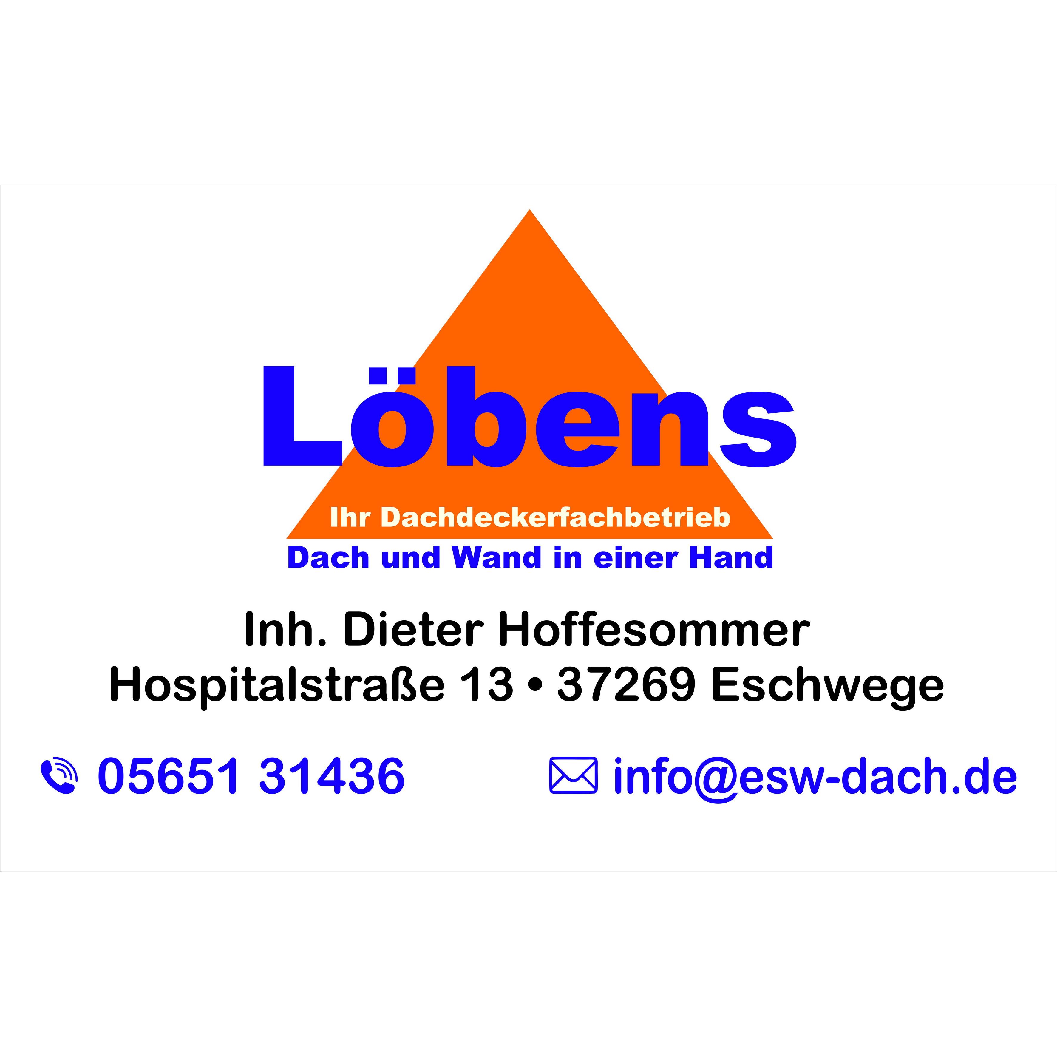 Logo Dieter Hoffesommer