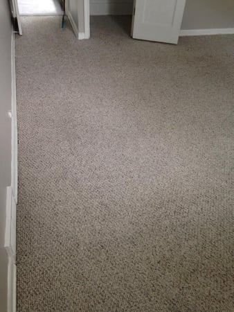 Images Bob's Carpet & Upholstery Cleaning