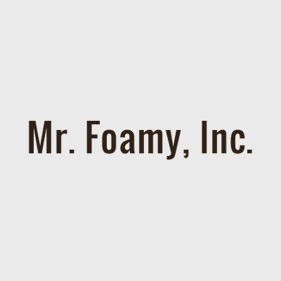 Mr. Foamy Logo