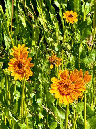 Images Brent Maudlin - State Farm Insurance Agent