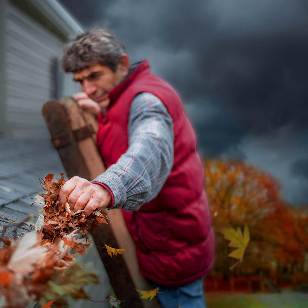 Images LeafFilter Gutter Protection