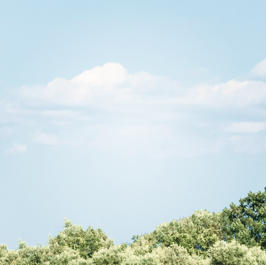 View of the top of green trees with a beautiful, cloudy blue sky in the background.
