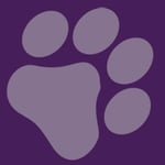 Furever Bookkeeping, Business Accounting & CFO Services Logo