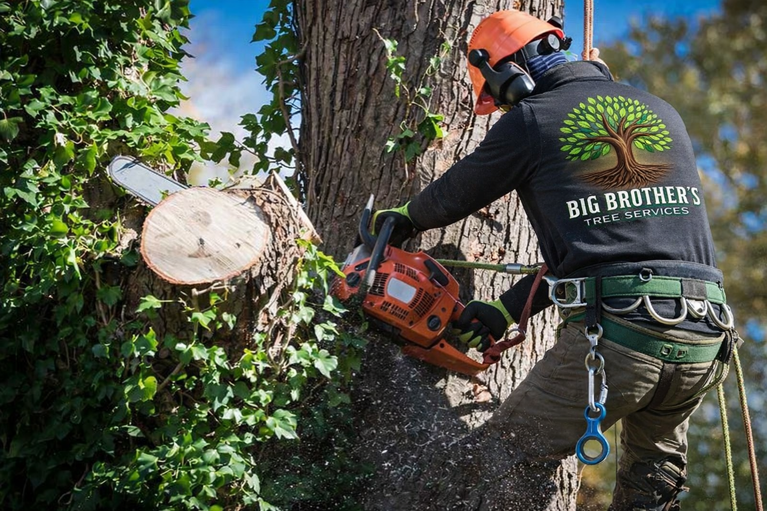 Big Brothers Tree Service LLC