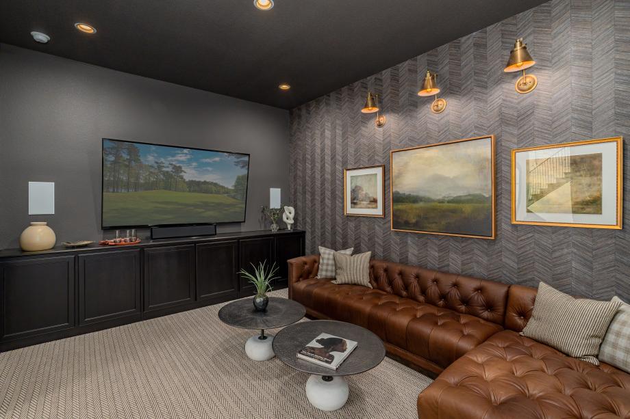 Versatile media rooms