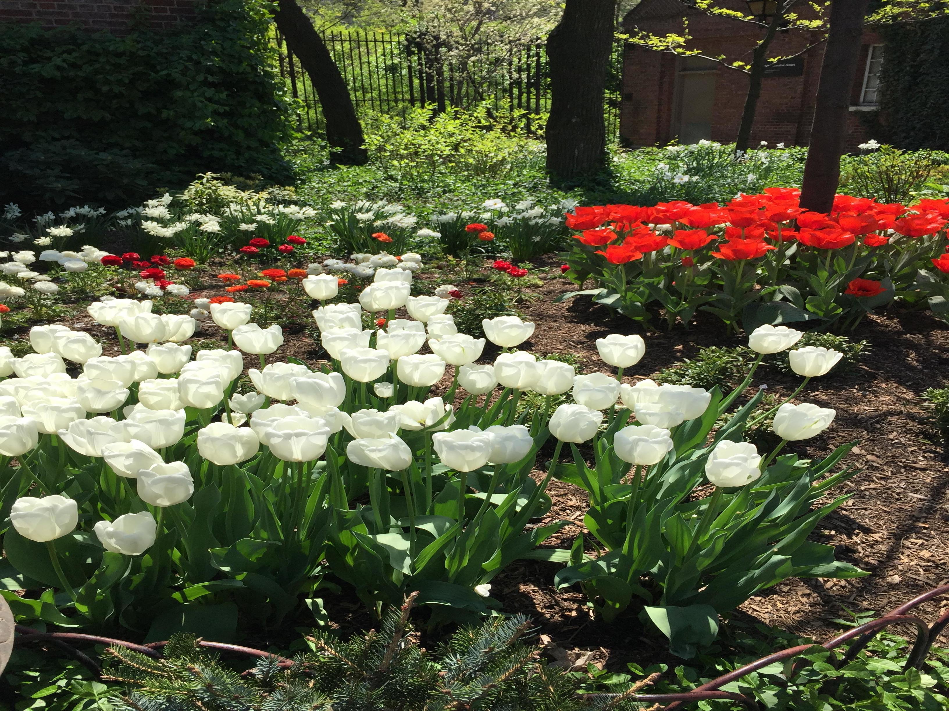 Ponce Greenscape, Inc