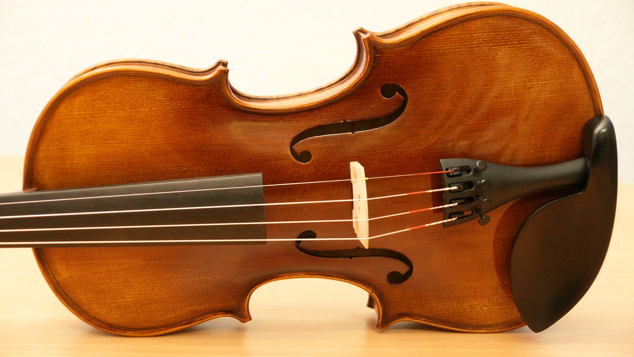 pro musica Ulm GBR, Syrlinstraße 16 in Ulm