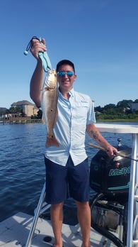 Images E-6 INSHORE FISHING ADVENTURES, LLC