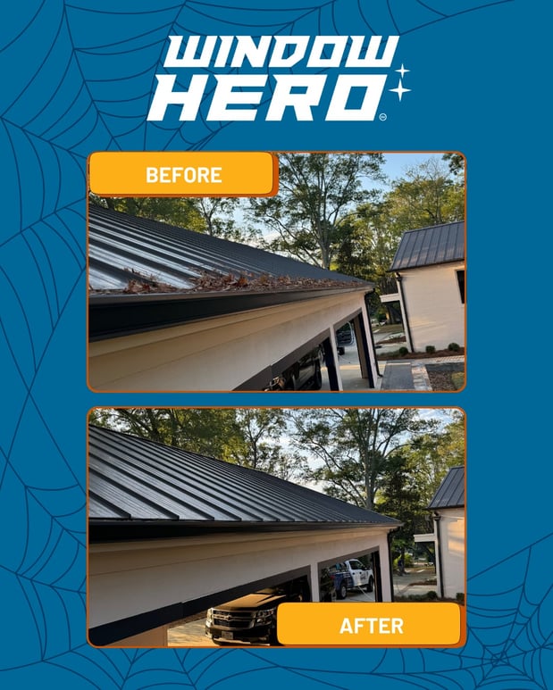 Images Window Hero Raleigh