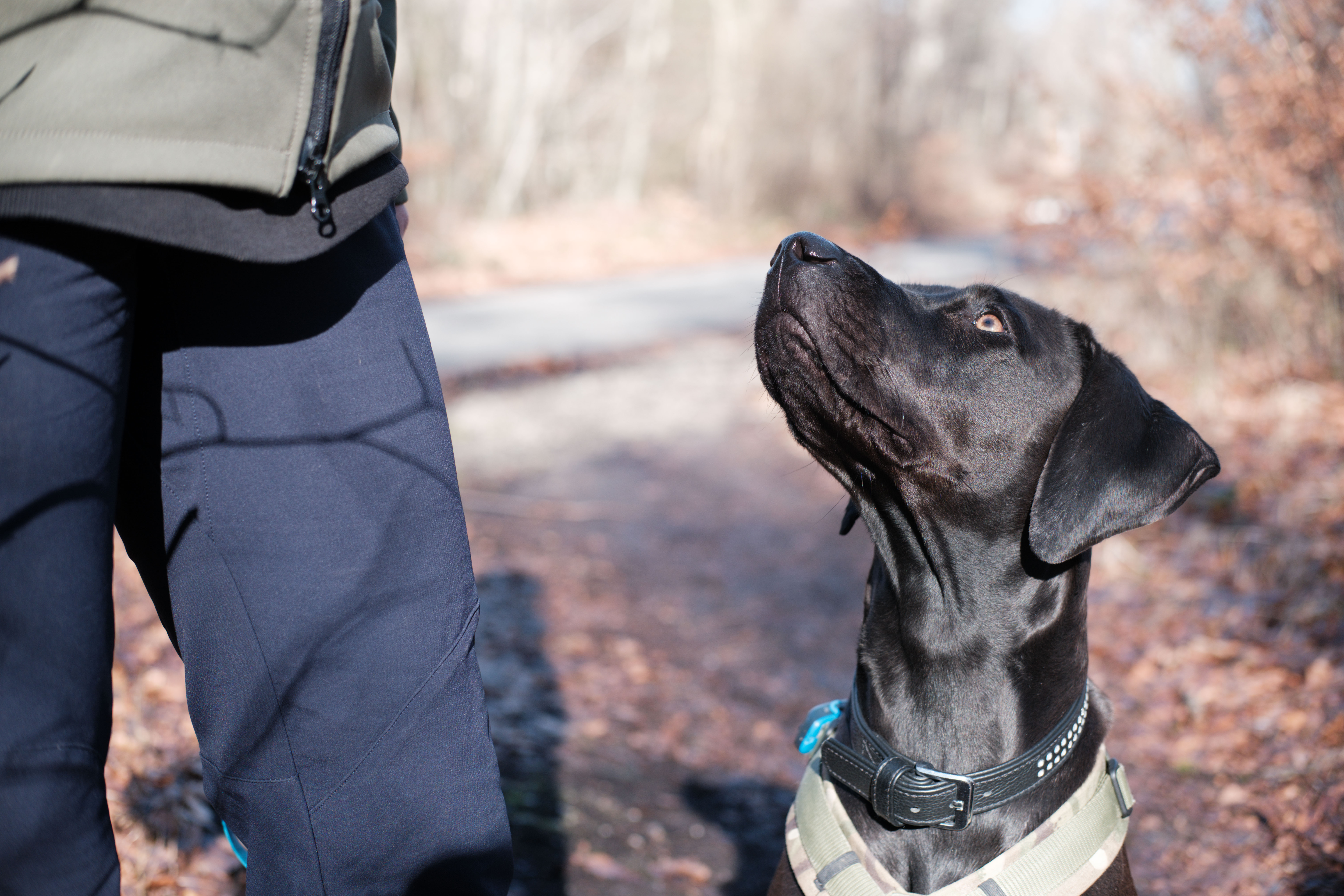 Tinas HuSchu in Baierbrunn