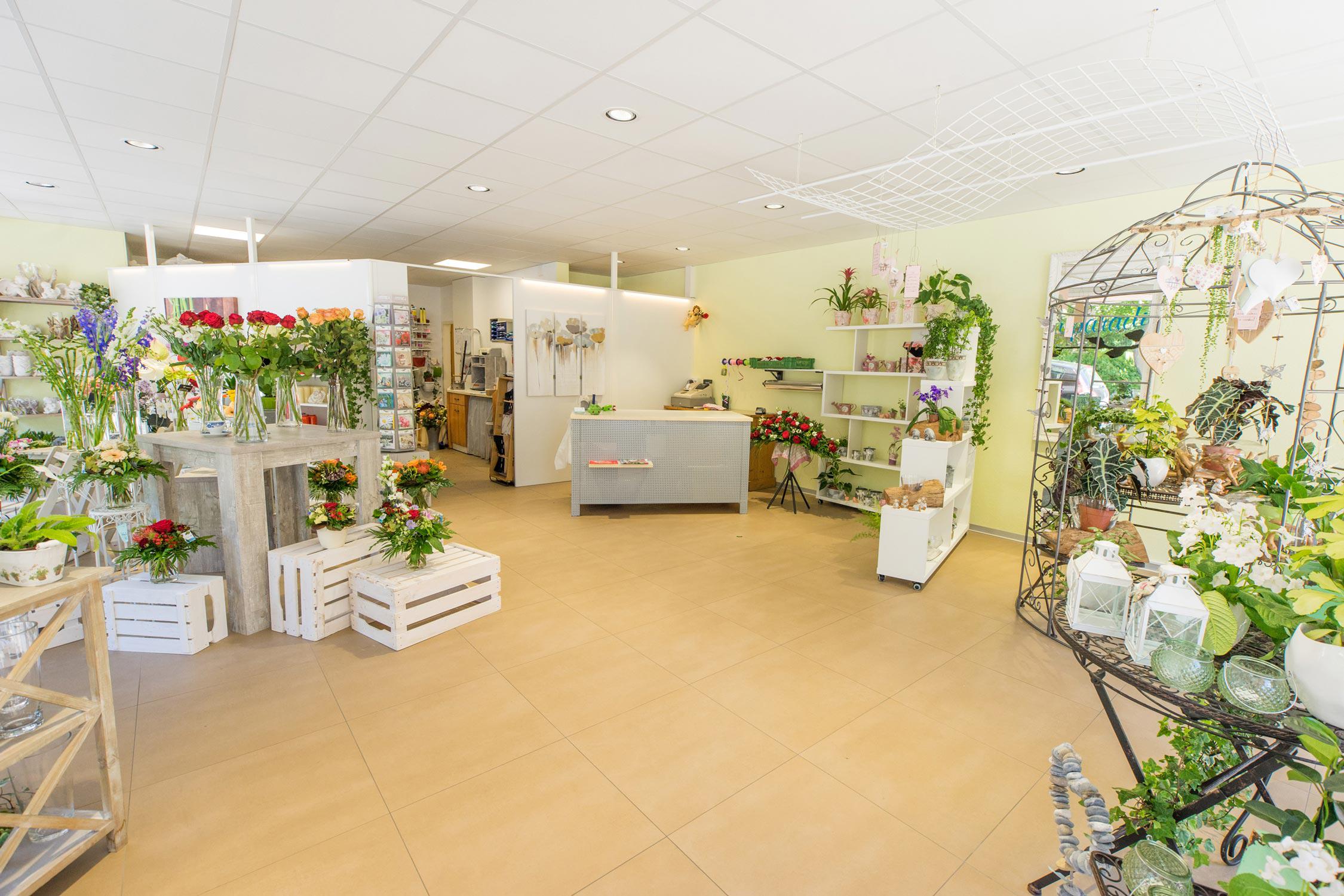 Bernhard Weissen Bluemeparadies AG, Balfrinstrasse 15 in Visp