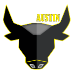 LINEX® Of Austin Logo